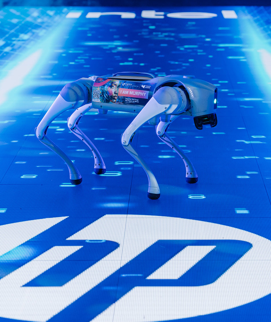 Events & Experiences